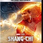 シャン・チー／テン・リングスの伝説　Shang-Chi and the Legend of the Ten Rings　2021